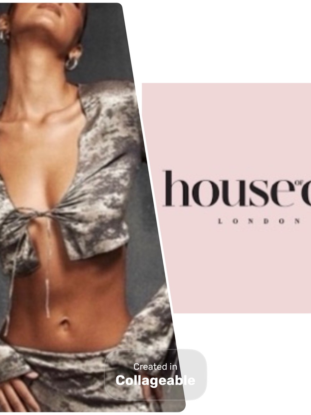 ‼️WOW‼️House of CB Silver Metallic Velvet Crop Top